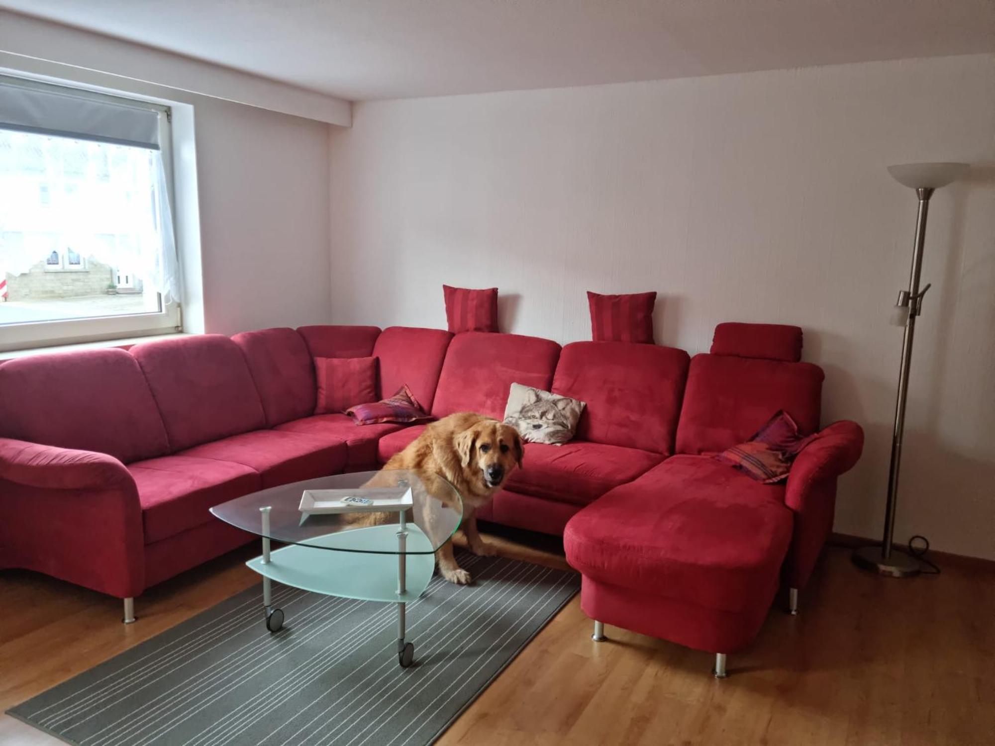 Main Zu Hause Villa Eichenbuhl  Bagian luar foto